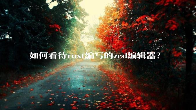 如何看待rust编写的zed编辑器？