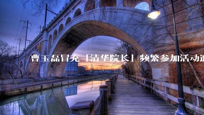 曹玉磊冒充「清华院长」频繁参加活动遭官方打***，他为何能堂而皇之以***身份开展活动？其将受到哪些处罚？