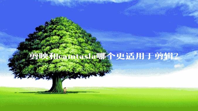 剪映和camtasia哪个更适用于剪辑？