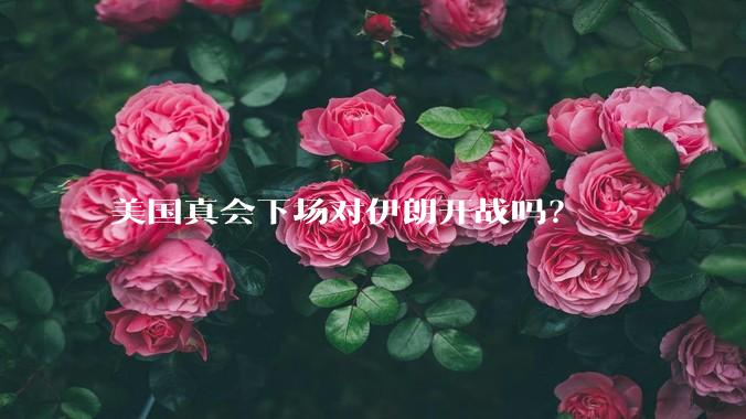 美国真会下场对伊朗开战吗？