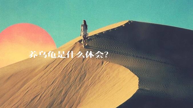 养乌龟是什么体会？