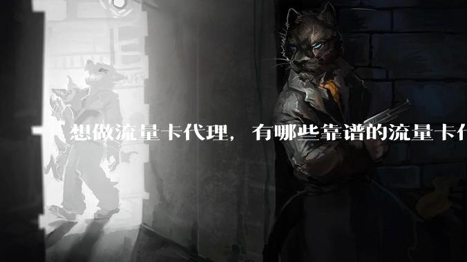 想做流量卡代理，有哪些靠谱的流量卡代理平台？